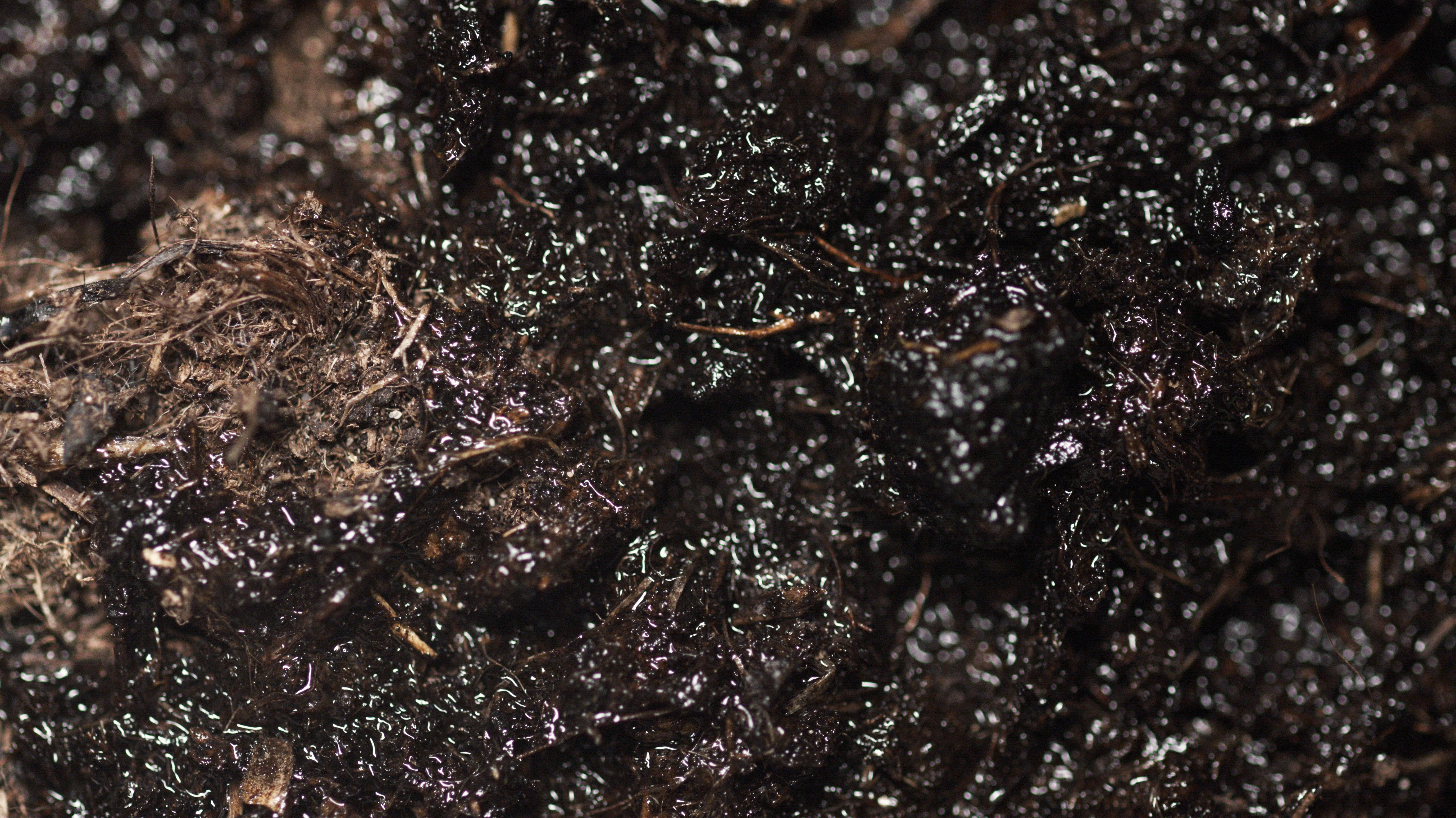 Clariant_Image_Ground_2021_EN