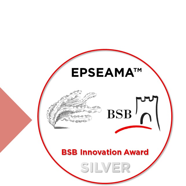 Epseama Award