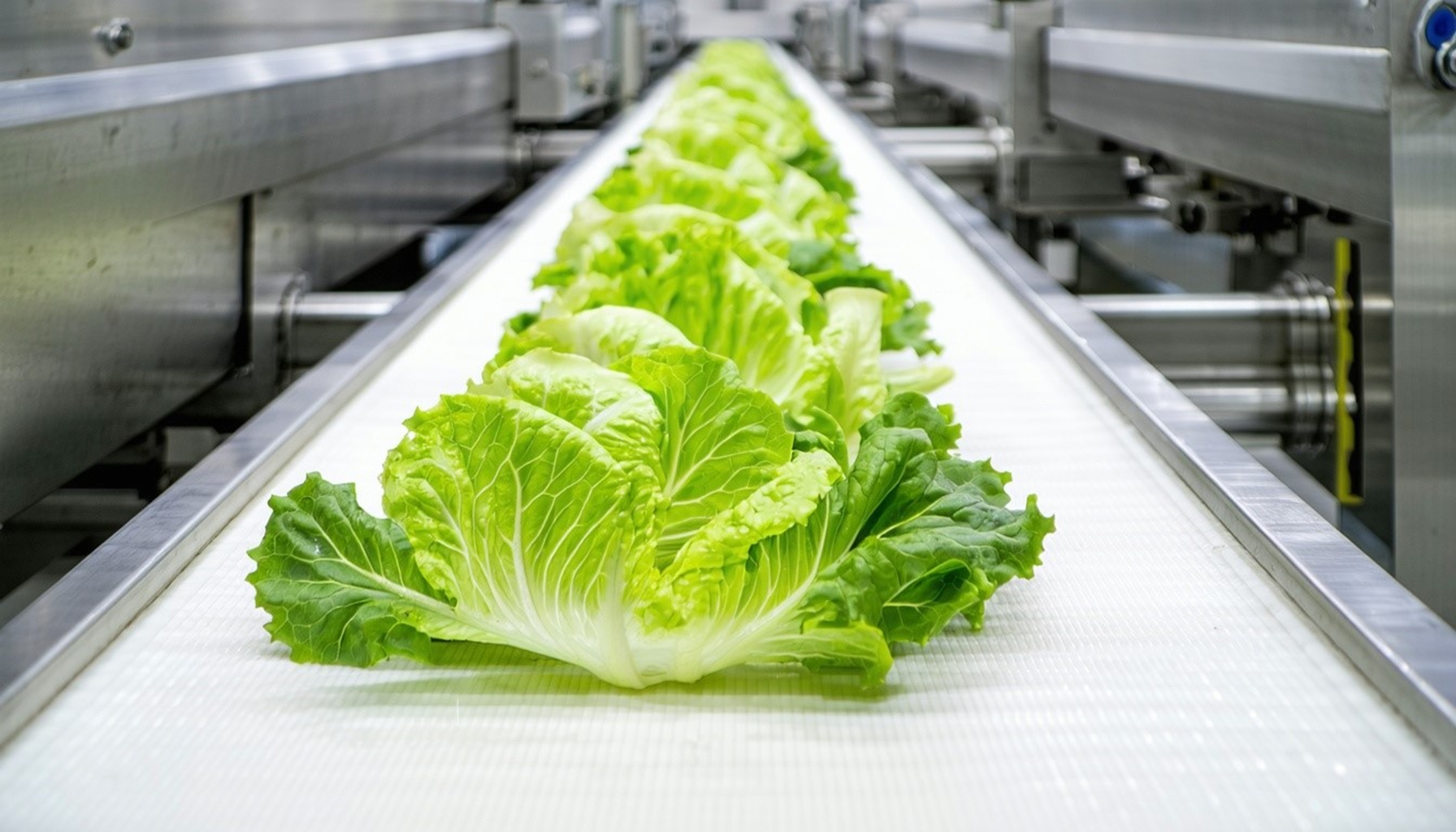 Image_Media Release Food contact update PVC 20260528 EN