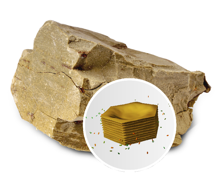 CLA_LP_IS__Tonsil_3_Solution_690x560px