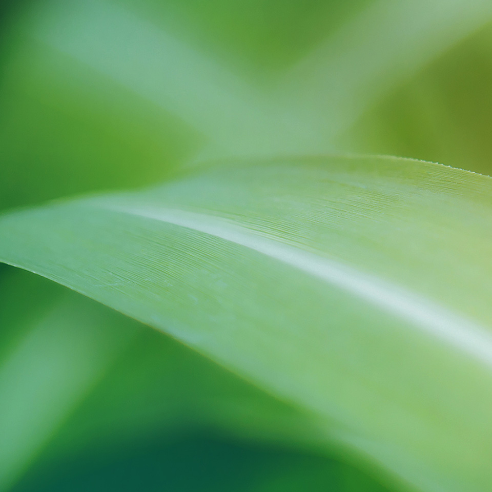 Coatings Trends & Technologies