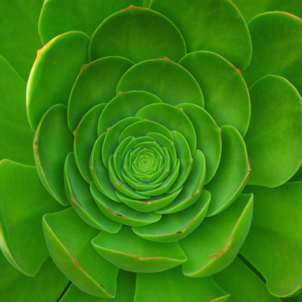Going full circle — Circular Economy